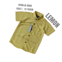 Kemeja Baju Lemon Anak Laki Outfit Anak Cowok