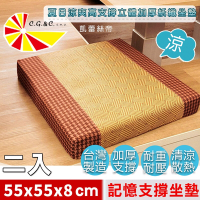 【凱蕾絲帝】台灣製造-高支撐記憶聚合加厚紙纖坐墊/沙發墊/實木椅墊55x55cm-英倫橘(二入)