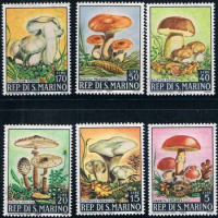 6 PCS,SAN Marino,1967,Mushroom,Plant Stamp,Stamp Collection,Good Condition Collection