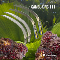 EGREK CAMEL KING 111 PULSET Kunci