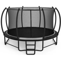 Trampoline 12FT Recreational Trampoline with Enclosure for Kids Adults,Outdoor Trampoline with Wind Stakes and Ladder for Kids