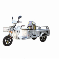 Adult battery car 3 wheels electric scooter 500w cargo electric tricycle factory direct sales
