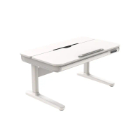 【Flexispot】SD8W北美多功能繪圖升降桌120×70cm(可置物、可調桌面傾斜、智能防撞、安全童鎖)