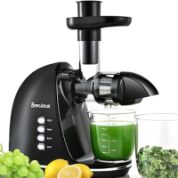 Slow Masticating Juicer, Juicer with 2 Speed Modes &amp; Quiet Motor,Juicer Machines Vegetable and Fruit with Reverse Function