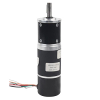 12V 24V Planetary Gear BLDC Motor with dc worm reduction gear motor