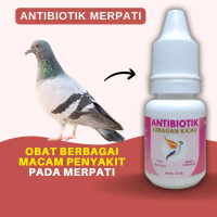 Antibiotik Merpati Untuk Obat Berbagai Macam Penyakit Pada Merpati