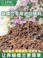 蘭專用土蘭花植料智利毛毛蟲水苔新西蘭進口松樹皮混合型植料