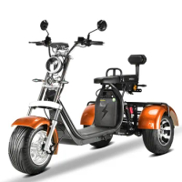 Three Wheel Ebike Electric Tricycles 3 Cargo Trikes Fat Tire Bikes for Adults