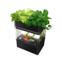 Complete hydroponic indoor growing systems mini fish tank low cost high quality small home hydroponic planting