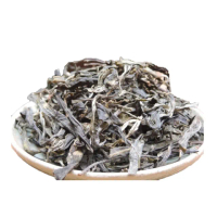 【茶韻】普洱茶 茶人山上跑2017年易武落水洞大樹茶春茶40g茶葉藏品組 馬口鐵罐裝(普洱茶禮)