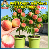100% Legit Bonsai Peach Seeds for Planting Fruit Trees (5-7pcs/pack) Grow Peaches From Seeds Dwarf P