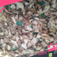 Jahe Merah Kering 250gr