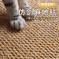 Imitation Sisal Dustproof Carpet for Living Room, Bedroom, Photography Studio, Decorative Sofa, Beds