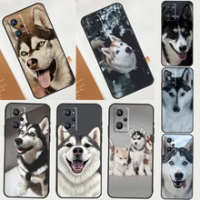 Siberian Husky Sled Dog For Realme GT Neo 5 3 2 C55 C35 C33 C31 C30 C25 C21Y C15 C11 Realme 8 9 10 11 Pro Plus Case