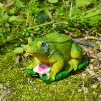 青蛙模型景觀仿真園藝擺件盆栽工藝品diy可愛斑馬裝飾樹脂羊動物