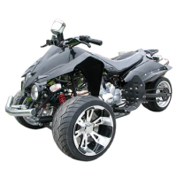 250cc atv farm atv 3 wheeled motorcycle Adult atvcustom