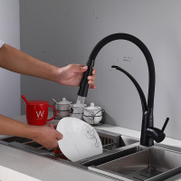 黑色烤漆黃銅廚房水龍頭高弧硅膠管廚房水槽水龍頭帶噴灑器單手柄