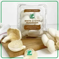 Fresh White Oyster / Fresh Jamur Oyster Putih / Jamur Fresh 100gr