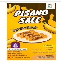 Pisang Sale Nyonya Sarah home made
