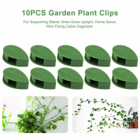 10Pcs Plant Climbing Wall Fixer Vines Clips Aves Wall