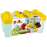 樂高LEGO Duplo幼兒系列 - LT10984 有機果菜園