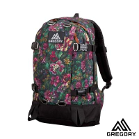 ├登山樂┤美國GREGORY ALL DAY 日系休閒背包22L 花園油彩 # 65198-0511