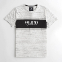 Hollister HCO 短袖 T恤 灰色 1405
