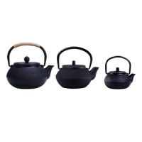 Mini Cast Iron Kettle Teapot Metal Stovetop Teapots Japanese Infuser Water Tetsubin Chinese Loose Stove Kitchen Vintage Pots