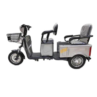 Hot Sale electric Adult Tricycle From China for adults