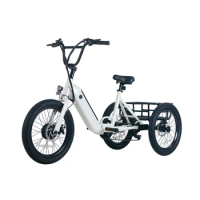S12 36v 350w 24 "X 2.0 3-Wheel Electric Bicycle Large Capacity Super Stable Electric Scooter Elderly Tri-Wheel Bike Loadable