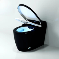Automatic Flushing Non Water Tank Integrated Toilet Bidet Black Electronic Intelligent Toilet