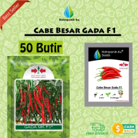Bibit / Benih Cabe Besar Gada F1 Cap Panah Merah Hidroponik Ku