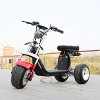 3 wheel mini chopper electric e scooter citycoco motorcycle adult three tricycle