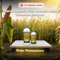 Pupuk Daun & Buah Sorgum | Pupuk Booster Sorgum | Pupuk Organik Cair Humic Acid Tanaman Sorgum Rojo 