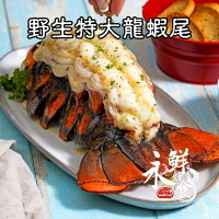 【永鮮好食】頂級生凍龍蝦身/龍蝦尾(6OZ盎司/單尾)   海鮮 生鮮