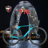 2022 TWITTER carbon bycicle T10RIVAL-22S double disc brake carbon fiber road bike carbon wheel 700c gravel bike bicycle for men