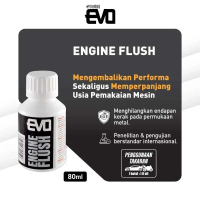 Otogard EVO Motor Engine Flush