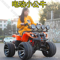 【全球優品滙】電動車 小公牛沙灘車 四輪越野全地形雙人座山地車 迷你小跑車 沙灘車