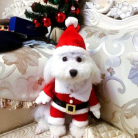 2022 Dog Pet Christmas Transformation Christmas Teddy Than Panda Bear Small Dog Funny Funny Clothes Winter Clothes