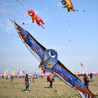 老鷹風箏大型大特大濰坊高檔專業微風易飛成人初學者帶線輪大風箏
