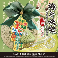 【愛蜜果】台灣網紋哈密瓜1入禮盒 約3斤/盒(阿露斯/日本品種)