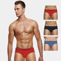 Male Panties Sexy Briefs Men C-in2 Underwear Cotton Low Waist Cuecas Masculinas Gay Underpants Calzoncillo Hombre Slips