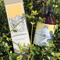 Davines ANTI-Dandruff Purifying Shampoo