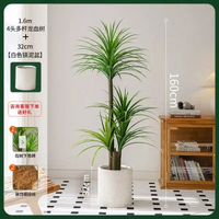 掬涵北歐輕奢模擬綠植龍血樹大型落地盆栽高階假植物客廳裝飾擺件