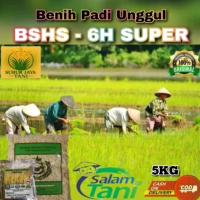 Benih Padi Unggul BSHS-6H Super Kemasan 1KG - Subur Jaya Tani