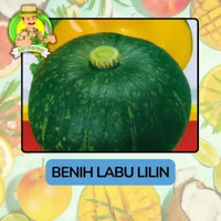 Benih Buah Buahan Bibit Biji Tanaman Organik Labu Lilin