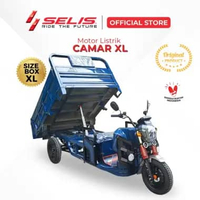 SELIS - Motor Listrik Roda 3 Camar ( Gerobak Motor Listrik Untuk Usaha ) Box XL