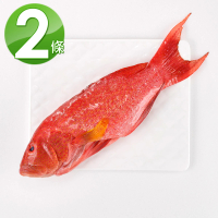 預購 華得水產 燕尾紅條魚2條組(400-480g/條)