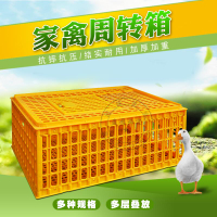 【熱銷產品】雞籠周轉箱家用大號加厚防摔養殖運輸塑料雞鴨鵝兔籠