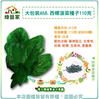 【綠藝家】大包裝A58西螺菠菜種子110克(約8000顆)